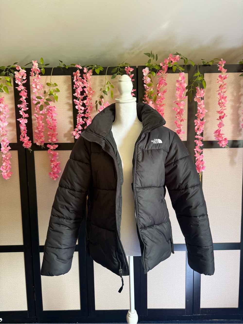 The North Face Women's Black Puffer Jacket